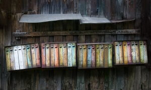 Old Rain Warped Mailboxes