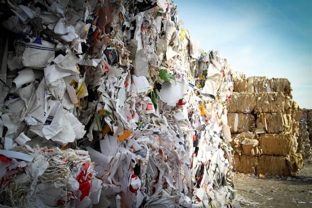 How Junk Mail Impacts the Environment