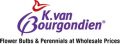 K. Van Bourgondien & Sons