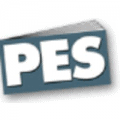 Professional Education Services
